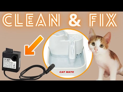 How to FIX or CLEAN your CAT MATE Pet Water Fountain PUMP Model 33501