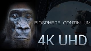 4K | Biosphere Continuum FULL MOVIE - Extended Version.