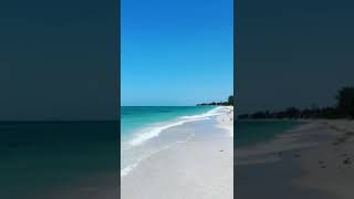 Download lagu video background pantai no copyright 30 detik untuk story whatsapp (part 5) - #Shorts mp3