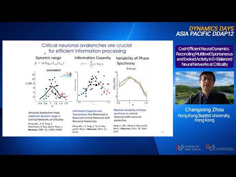 Changsong Zhou: Cost-Efficient Neural Dynamics: Reconciling Multilevel Spontaneous and Evoked