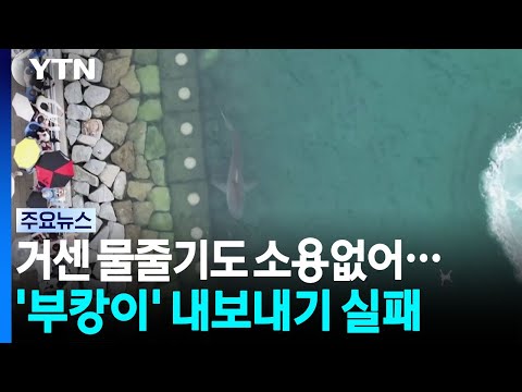 거센 물줄기도 소용없어...'부캉이' 내보내기 실패 / YTN