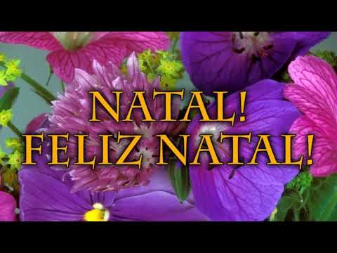 Hinário Adventista 44 - NATAL! FELIZ NATAL!