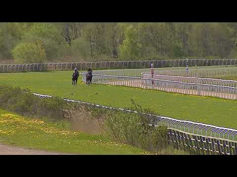 2022 05 15 Kvallopp Göteborg Galopp