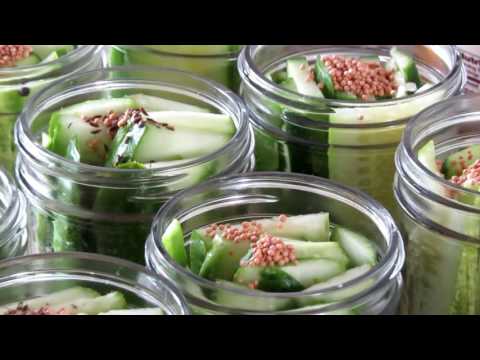download lagu mp3 mp4 Canned Dill Pickle Slices Recipe, download lagu Canned Dill Pickle Slices Recipe gratis, unduh video klip Canned Dill Pickle Slices Recipe
