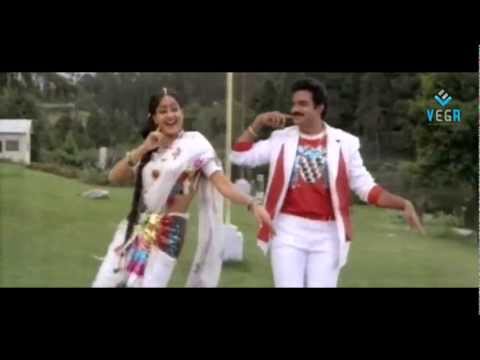 Aaku Chatuna Pindhe Tadisenoyi Mama Video Song - Muddula Mavayya