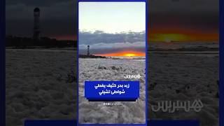 زبد بحر كثيف يغطي شواطئ تشيلي بعد أيام من الأمطار الغزيرة والرياح العاتية التي اجتاحت البلاد thumbnail