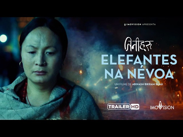 Elefantes na Névoa | Trailer Oficial | Imovision