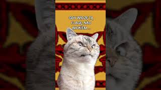 Miniaturka - Podoba Ci się moja twórczość ⁉️Zostaw ♥️ oraz FOLLOW 🫡#metin #vibe #trend #viral