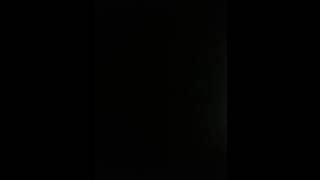 Casanova - Auch Playboys fühlen sich einsam