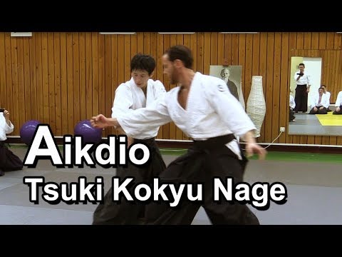 Aikido - Throw using the whole body softly SHIRAKAWA RYUJI shihan