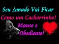 ORAÇÃO PARA ELE FICAR MANSO E OBEDIENTE IGUAL UM CACHORRINHO
