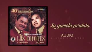 La gaviota perdida  - Los Coyotes / Discos Fuentes