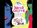 David Guetta feat Skylar Grey - She Shot Me Down (Extended Mix)