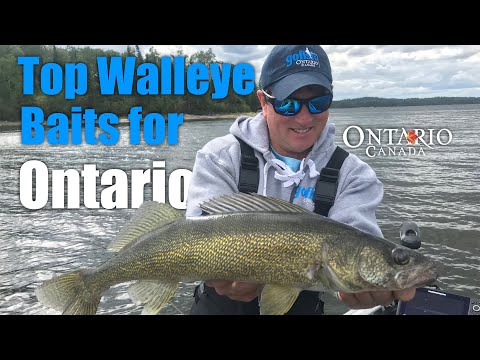 Top Walleye Baits for Ontario