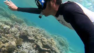 preview picture of video 'Snorkeling at Barefoot Manta Island, Fiji'