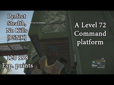 Infiltrating a Level 72 Command Platform [120 998 Esp. points, PSNK]