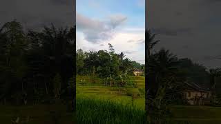 Download lagu Naha atuh bet dimumurah ? komentarnya mengenai lagu RUNTAH DONG #shorts mp3