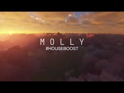 MOLLY DJ SET #HOUSEBOOST (GORGON CITY, JOHN SUMMIT, VINTAGE CULTURE, ARTBAT,...)