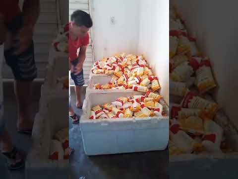 momento exato da entrega do leite Damião Paraíba PB