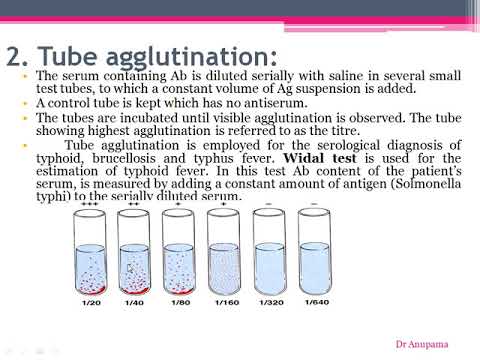 Agglutination and Complement Fixation Reactions