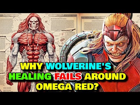 Omega Red Anatomy Explored - Why Wolverine's Healing Don't Work Around Him? What Are Death Spores?
