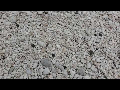 Coral beach at Keana point 2019