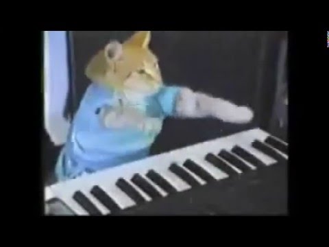 LOS VIDEOS VIRALES MAS VISTOS EN 5 MINUTOS 2016 HD