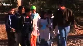 Teachers TV: Where Maths Grows On Trees