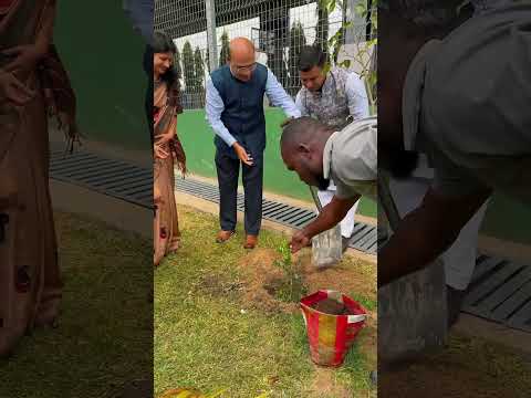 Hindi Diwas 2025 at ARIS | Celebrating Language, Culture, and Community