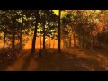 Autumn Forest 3D Screensaver Trailer