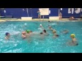 Sharks And Minnows At 2016 NECTC Swim Meet