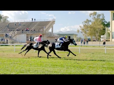 Villacidro: 3° trionfo per il mezzosangue di 4 anni Carmelino; in sella Sandro Gessa - 02/11/2022