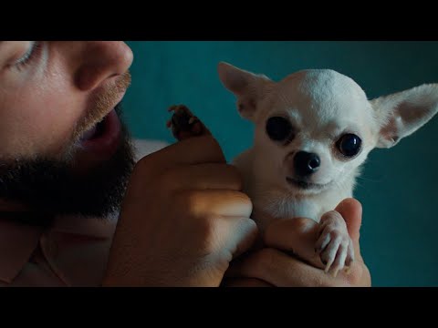 Lytos - Amor a la Carta ft. Brock Ansiolítiko