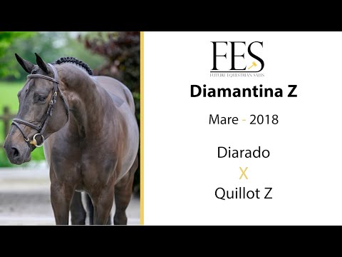 showvideo