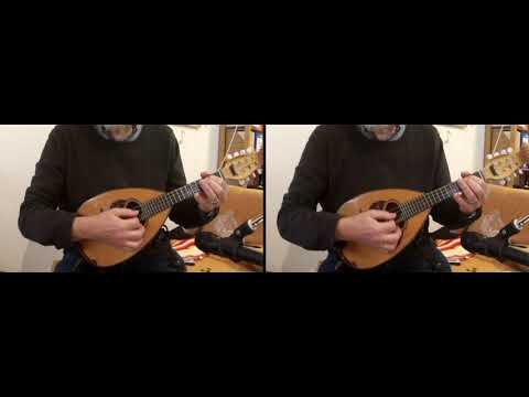Mandoline lernen - Kapitel 6 - Einfacher Blues in D - Sehr leichtes Trio (Tutorial)