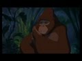 Tarzan Toujours Dans Mon Coeur