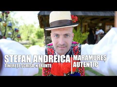 Stefan Andreica - Tinerete scrisa-n frunte