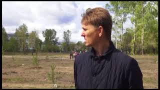 Нижний парк стал зеленее