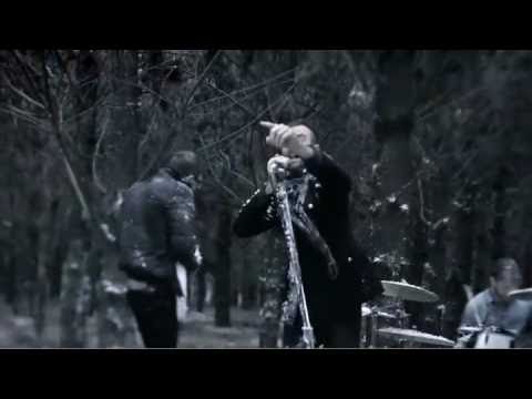 Wild at Heart - Birds of Tokyo