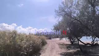 В центре Николаева беспрерывно гудит сигнал тревоги - снова сбой в системе оповещения