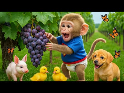Monkey Bon Bon Drives Tractor to Rescue the Missing Duckling 🐥🚜 | A Surprising Farm Adventure!