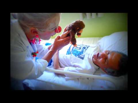 A festa, DOSES DE ALEGRIA