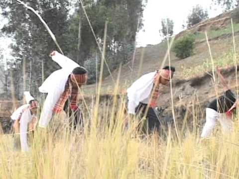 BeatrizGuashco’s Video 161199531926 4Odjw5A8SCo