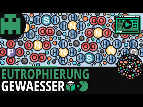 Eutrophierung Gewässer │Biologie Lernvideo│Learning Level Up