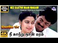 Nee Kaatru Naan Maram 4K HD Video Song Nilaave Vaa Movie Songs Thalapathy Vijay Vidyasagar