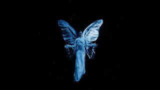 The Temper Trap - Sweet Disposition (ARTBAT Remix) (Official Video)