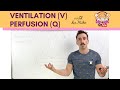 Ventilation (V) Perfusion (Q) Coupling