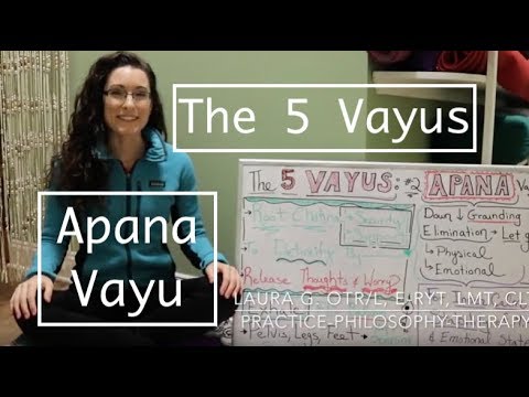 download lagu mp3 mp4 Apana Vayu, download lagu Apana Vayu gratis, unduh video klip Download Apana Vayu Mp3 dan Mp4 Music Gratis