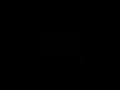 MVI 2969