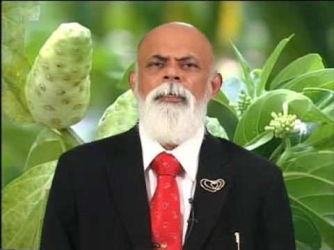 Indian Noni - Amazing Noni